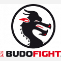 BUDO-FIGHT