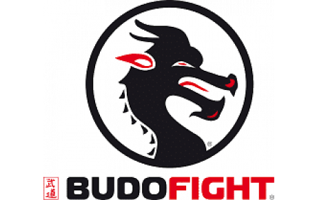 BUDO-FIGHT